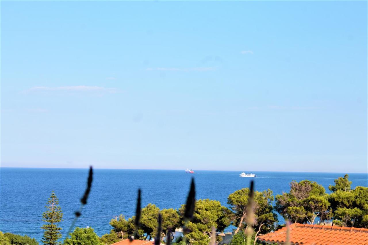Sea View Apartment 15 Min From Athens Airport Néa Mákri Exterior photo